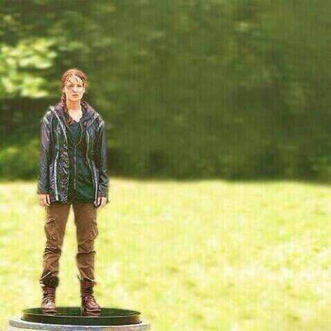 MaggieEverdeen.MySisKatnip_Love_12IsTheMockingjay.SheWonThe74thAndSurvivedThe75thHungerGames.NowItIsMyTurnToWinThe76thHungerGames.RpSingle.