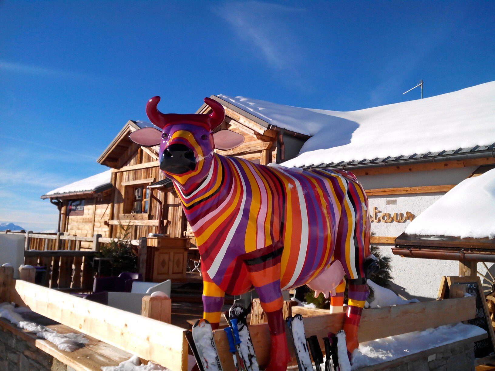 communiquer01's profile picture. 