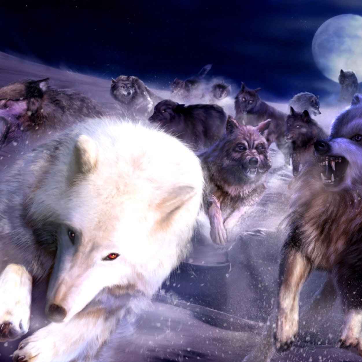 Im Skyler,proud mother of 5 wolf pups and mate of @wolf_spiritwolf