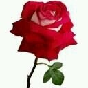 MMIsmail5's profile picture. 