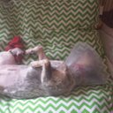 rose norma clarke - @kymlouiseclarke - Twitter