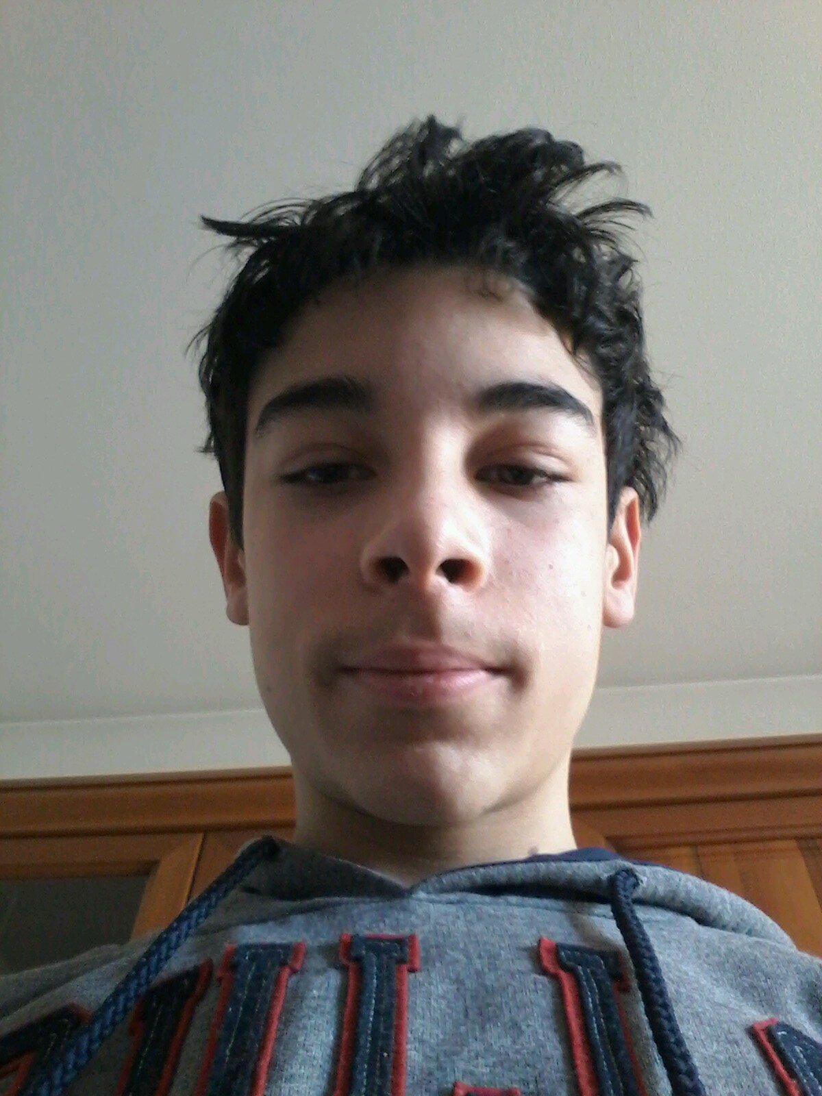 Luca Galli (BovinaLuca) Twitter