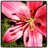 TrudiBrowne's profile image