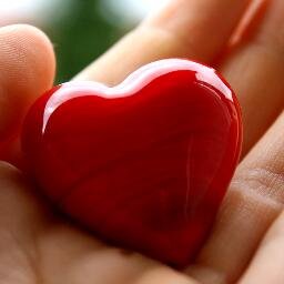 Never forget that you are loved! If you did forget, DM me and I'll remind you of it again ❤ ~Zephaniah 3:17