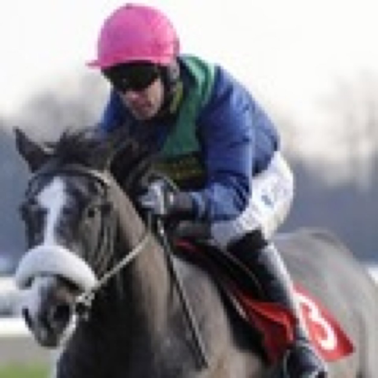 DDPLTFC's profile picture. Life long Luton Town fan, love my family, horse racing, hate injustice, cruelty, corruption and the premiership