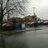 dorking12free's profile image