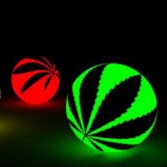 theginoboy's profile picture. Weet wat je zegt, zeg niet wat je weet