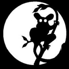 nooliz's profile picture. 🦉Citoyen de la province France 🇫🇷  sur la planète Terre💎🌍 (voie lactée)🌌✨☀️🍀