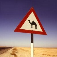 West Camel(@west_camel) 's Twitter Profileg