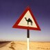 West Camel (@west_camel) Twitter profile photo West Camel (@west_camel) Twitter profile photo