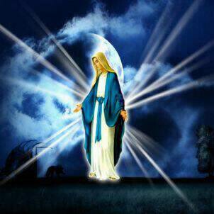 Moekets67885459's profile picture. 