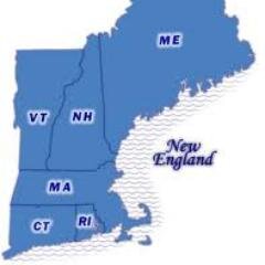 Local New England Roundtable of the Council for Supply Chain Management Professionals (CSCMP)