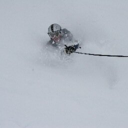 PerNorman1's profile picture. 