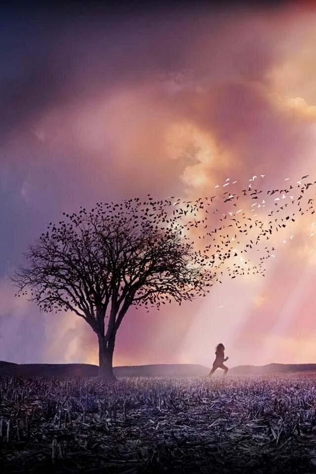 DreammBltl's profile picture. L'amour est une catastrophe magnifique..