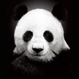 I want a nice world. 30+