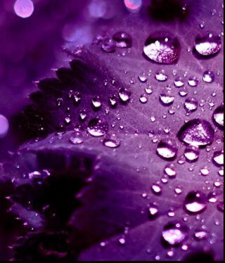 YeohCC917's profile picture. 