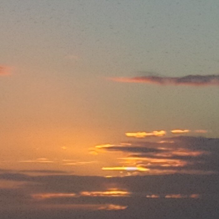 NonnaZoo's profile picture. 