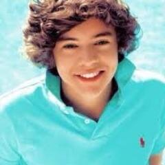 amo harry