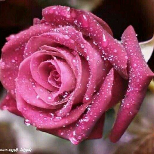 ‏‏اللهم اغفر له واسكنه فسيح جنآتگ ..