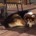 Allison Ewell - @AKEwell - Twitter