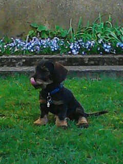 G57185's profile picture. celibataire