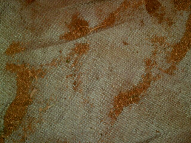 DjExcellentSA's profile picture. 