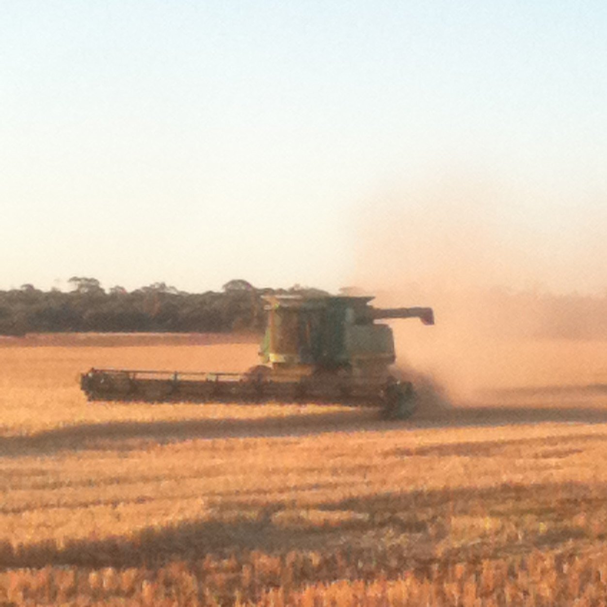 Puttstar81's profile picture. Farmer