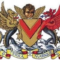 Newport & Dist AFL (@newportdistafl) 's Twitter Profile