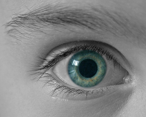 BiometricNews's profile picture. IEEE CBP