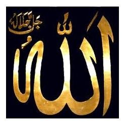 iLoveAllahRabbi's profile picture. J’atteste qu’il n’y a pas de divinité en dehors d’Allah et j’atteste que Muhammad est Son serviteur et Messager  لَا إِلٰهَ إِلَّا الله مُحَمَّدٌ رَسُولُ الله