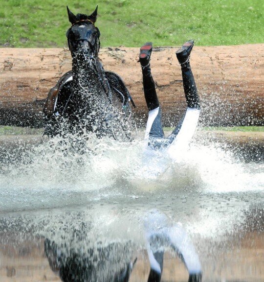Hey :)
I tweet about horses, equestrians and riding Problems... ;)