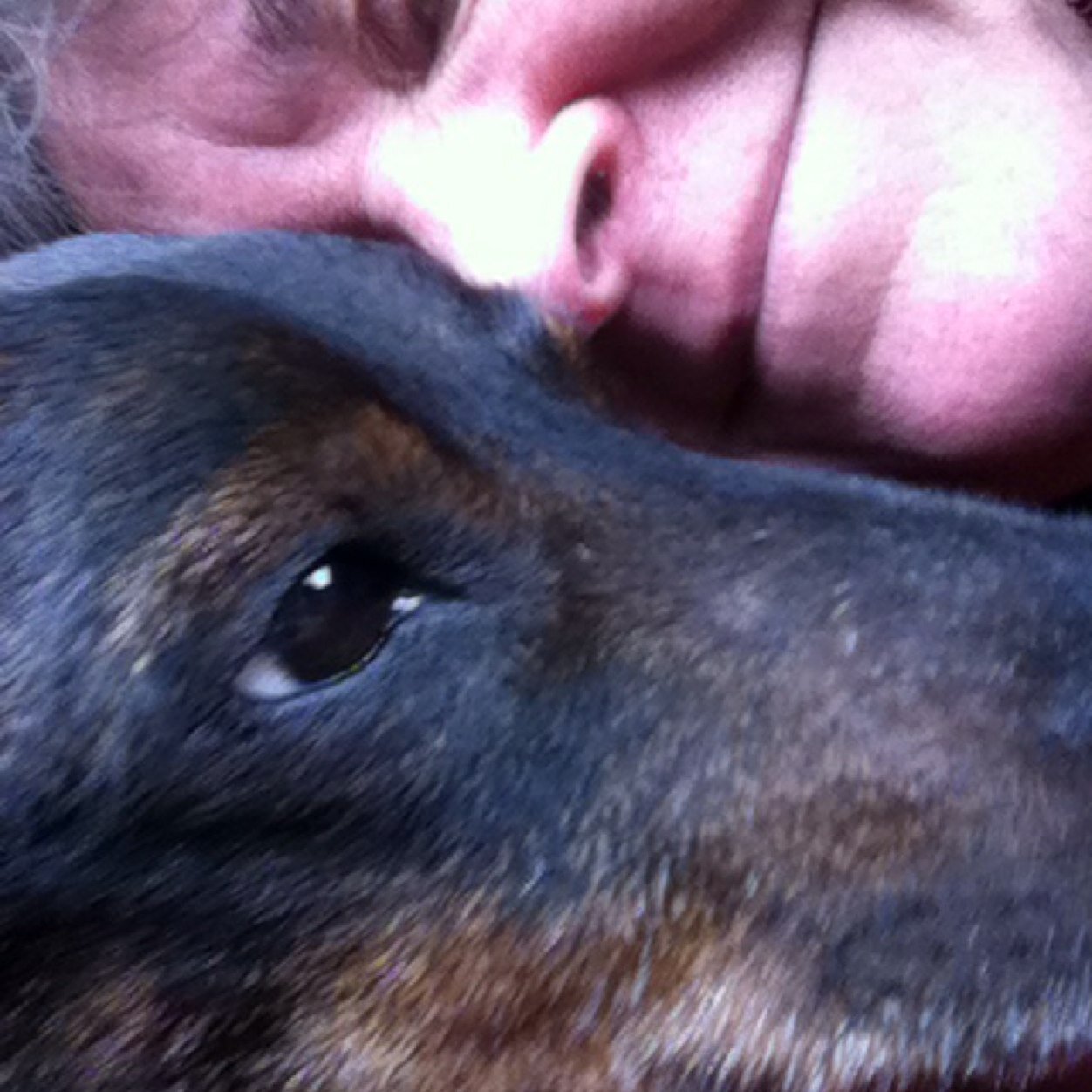 bootbroad's profile picture. 