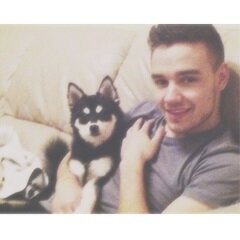 timidliam's profile picture. @paynefulthings :-)