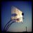 ignasicastello's profile image