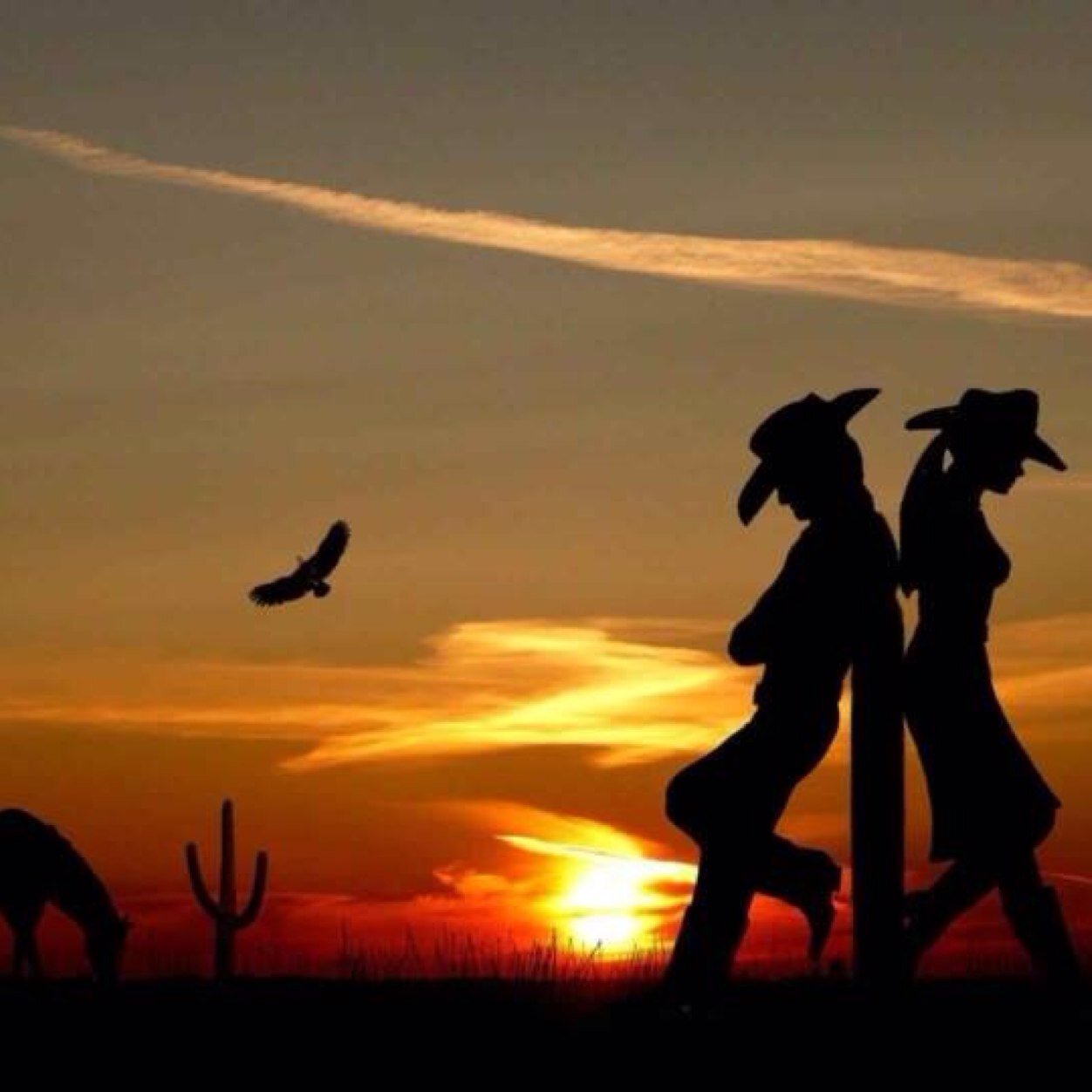 eyes_blue01's profile picture. 