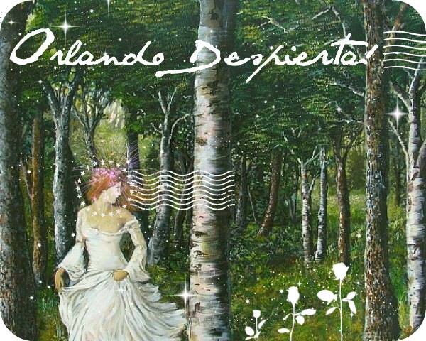 Orlando, despierta! es una obra teatral musical q busca la trascendencia de la novela de Virginia Wolf y el pragmatismo, impacto y movimiento del teatro actual.