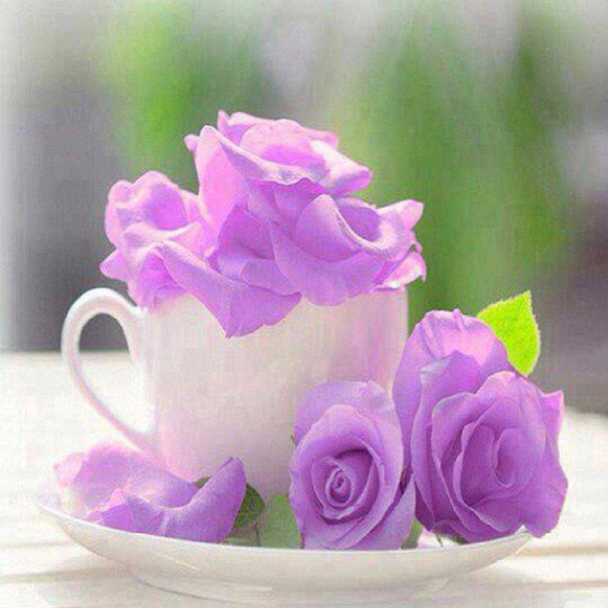 أرجو رحمة ربي 🌿.....وأخشى عذابه 🌿