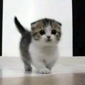 ニコ生してます笑
リスナーさん大事(●´ω｀●)
よかったらコミュはいってね♡http://t.co/guoMx3oY79
生主さん、リスナーさんからのリプ、リフォローは必ずします！