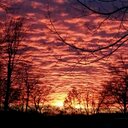 WENDY WILHELM - @SASSY62056 - Twitter