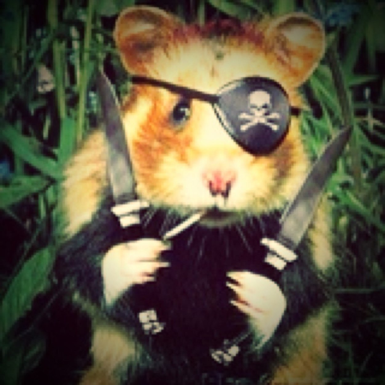 wangyx98's profile picture. 