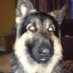 Mike Budzinski (@docbudz) Twitter profile photo