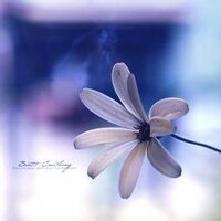 mohamed alngmoshi (@malngmoshi) Twitter profile photo