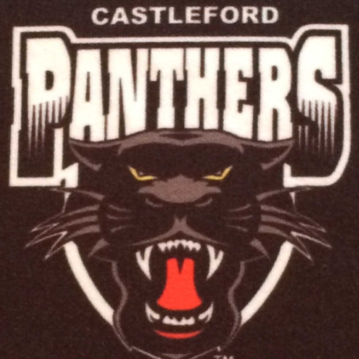 The Offical Twitter Page for the Castleford Panthers. Teams ranging from Under 7s to    0/A. The first team currently play in the NCL Division 3. WF10 1PL