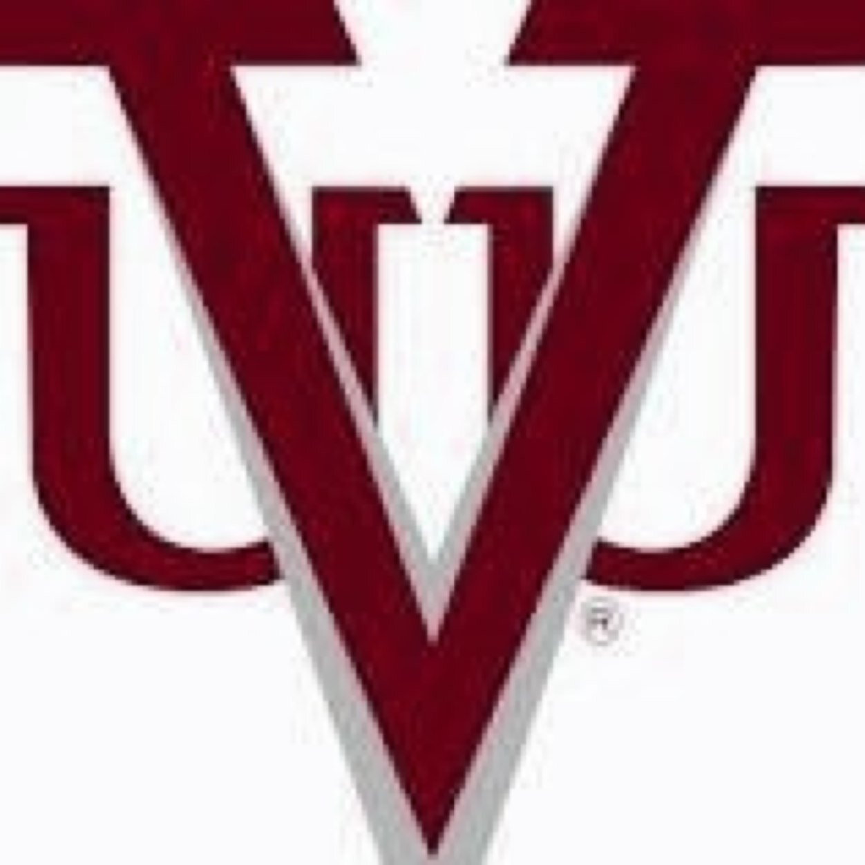 VUU2018's profile picture. First offcial twitter for #VUU18
#PantherPride