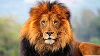 Jambo! Welcome 2 Kenya :)