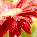 Mona - @Mona3aziz - Twitter