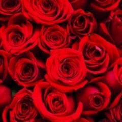 We are the Lovely Latin Ladies of the Smooth Suave Sigma Chapter of Hermandad de Sigma Iota Alpha, Incorporada. Wake up and smell the roses, &Join the Hermandad
