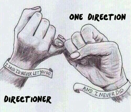 ***I love ♡ne Directi♡n*** And I FOLLOWBACK ♡♥   L♡ve y♡u Guys :*