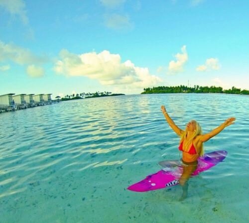 AliceAndradeF's profile picture. ☮✌✌