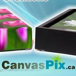 Custom Photo Canvas and Framed Acrylic Creations